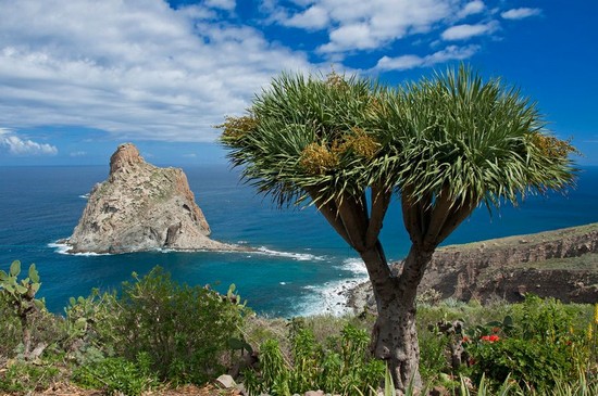 Tenerife, Kanarya Adaları'nın gururu