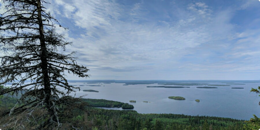 The Majestic Peaks of Koli