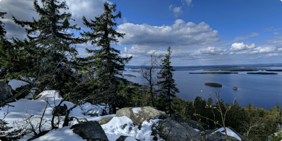 Sunrise from Ukko-Koli