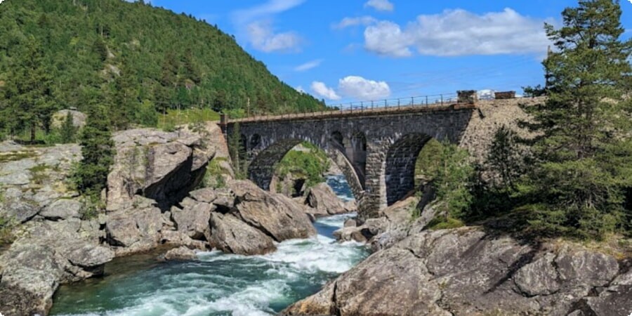 The Norwegian Fjords